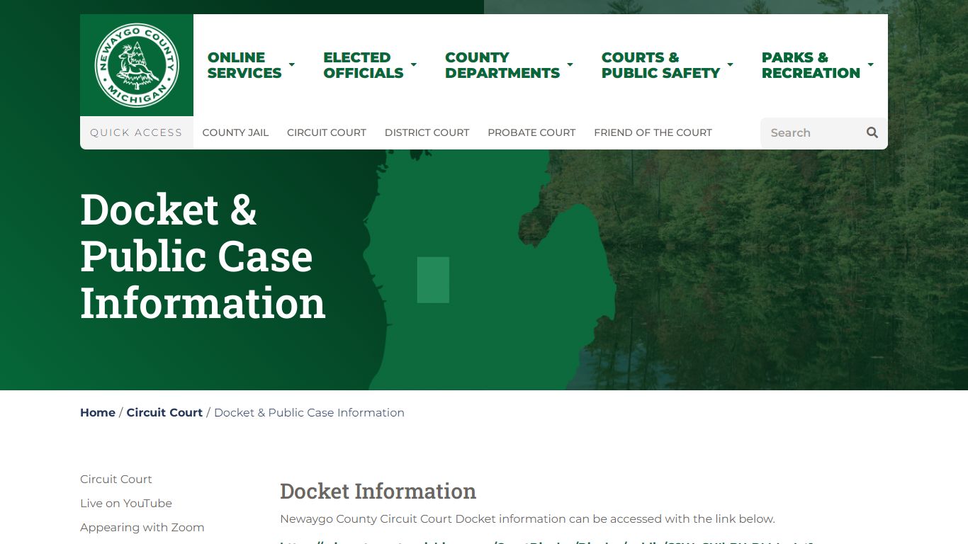 Docket & Public Case Information - Newaygo County